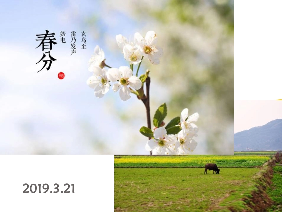 《因地制宜发展农业》PPT优秀课件[上海教育版七年级地理]_第2页