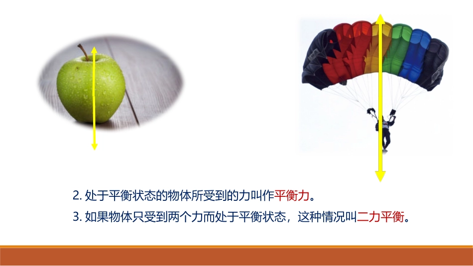 《二力平衡》运动和力PPT优质课件[北师大八年级物理下册]_第3页