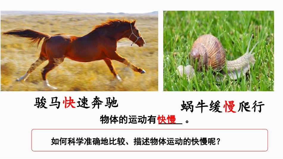 《快与慢》运动的世界PPT教学课件[沪科版八年级物理]_第2页