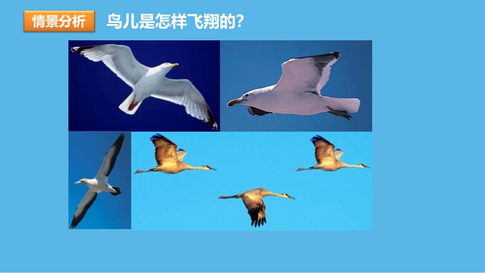 《流体压强与流速的关系》压强PPT免费课件[沪科版八年级物理]_第2页