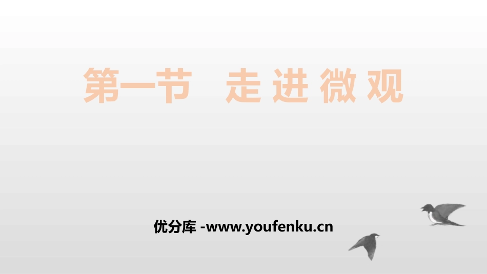 《走进微观》小粒子与大宇宙PPT免费课件[沪科版八年级物理]_第1页