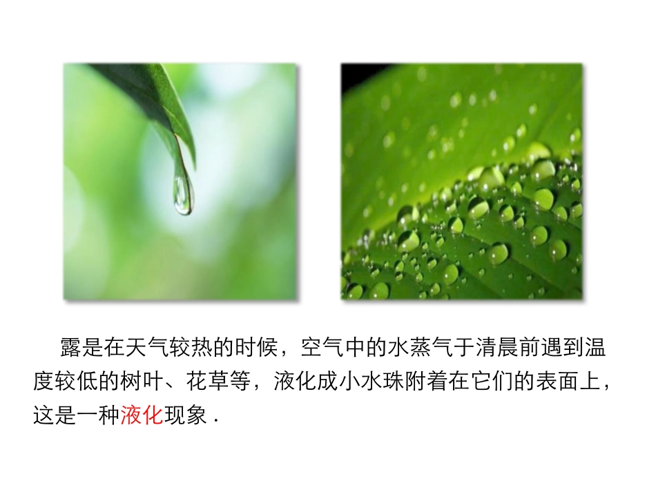 《升华和凝华》物质形态及其变化PPT课件[粤沪版八年级物理]_第3页