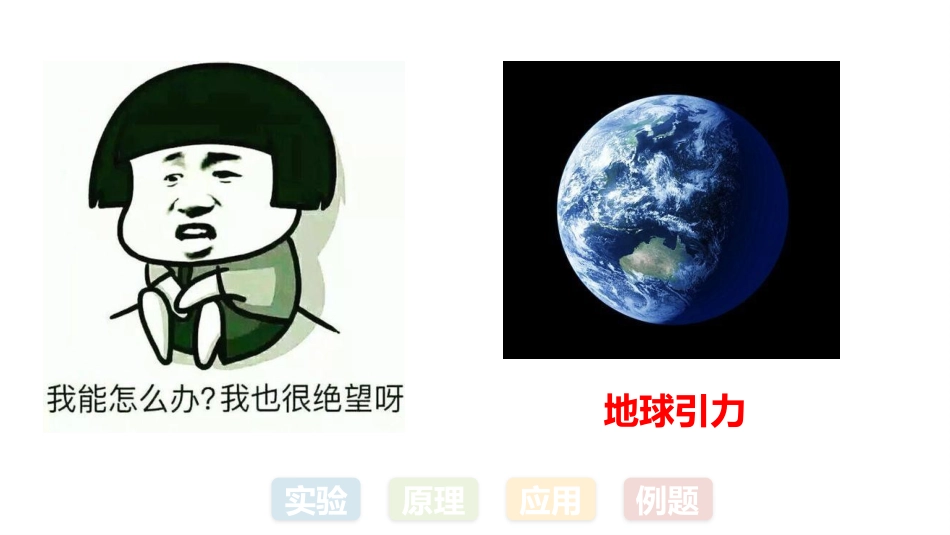 《重力》力和机械PPT教学课件[粤沪版八年级物理下册]_第3页