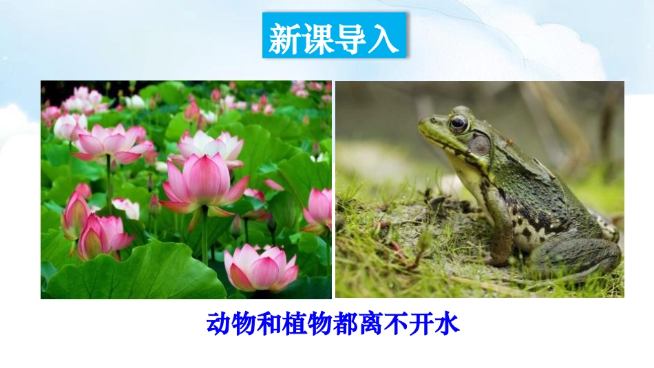 《水的组成》生命之源-水PPT课件[粤教版九年级化学上册]_第2页