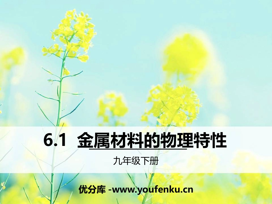 《金属材料的物理特性》金属PPT课件[粤教版九年级化学下册]_第1页