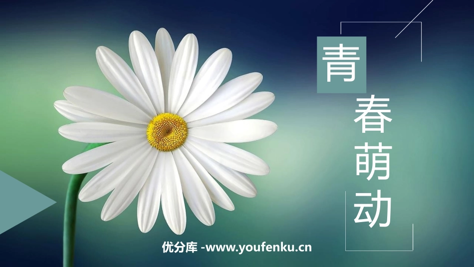 《青春萌动》PPT教学课件[七年级道德与法治下册]_第1页