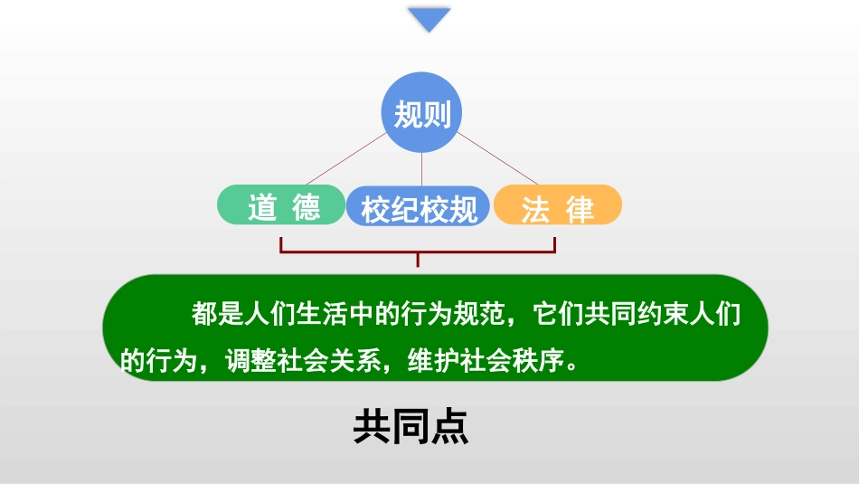 《法律保障生活》PPT精品课件[七年级道德与法治下册]_第3页