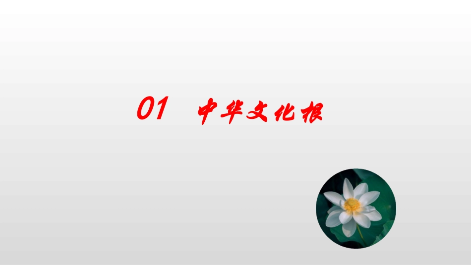 《延续文化血脉》PPT教学课件[九年级道德与法治上册]_第3页