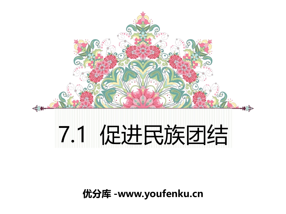 《促进民族团结》PPT优秀课件[九年级道德与法治上册]_第1页