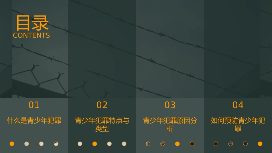 《认识与预防青少年犯罪》PPT班会课件[安全主题班会PPT]_第3页