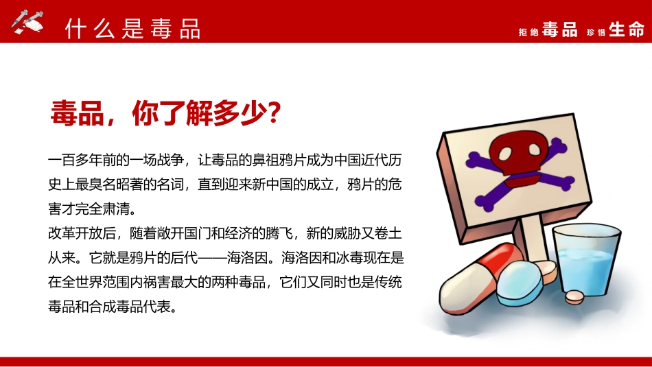 《拒绝毒品 珍惜生命》PPT班会课件[健康主题班会PPT]_第3页