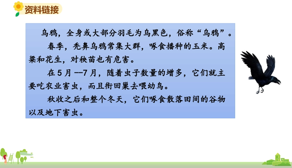 《乌鸦喝水》PPT优秀教学课件[部编版一年级语文上册]_第3页
