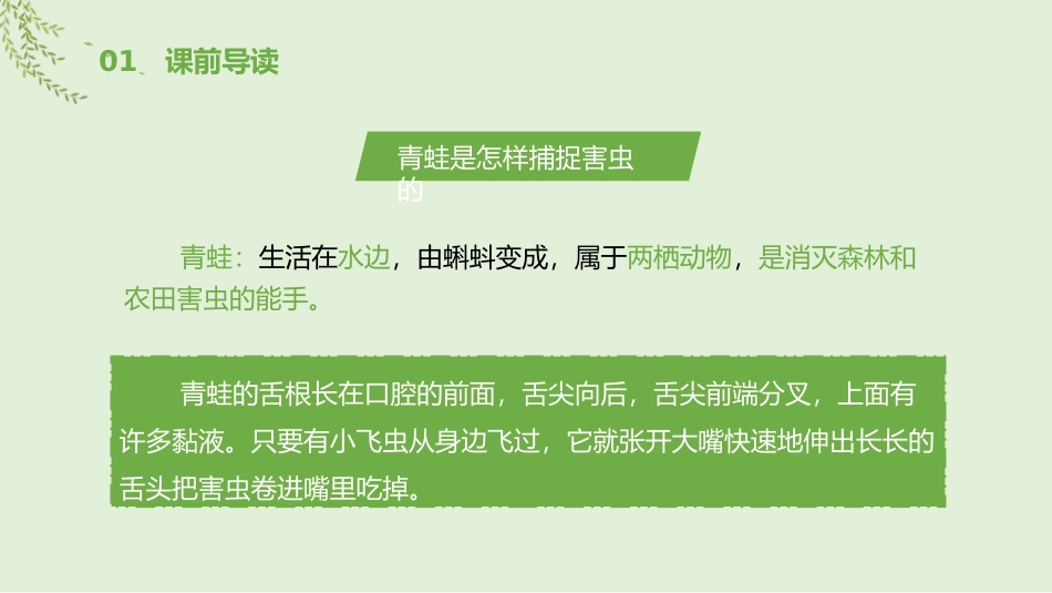 《小青蛙》PPT课文课件[部编版一年级语文下册]_第3页