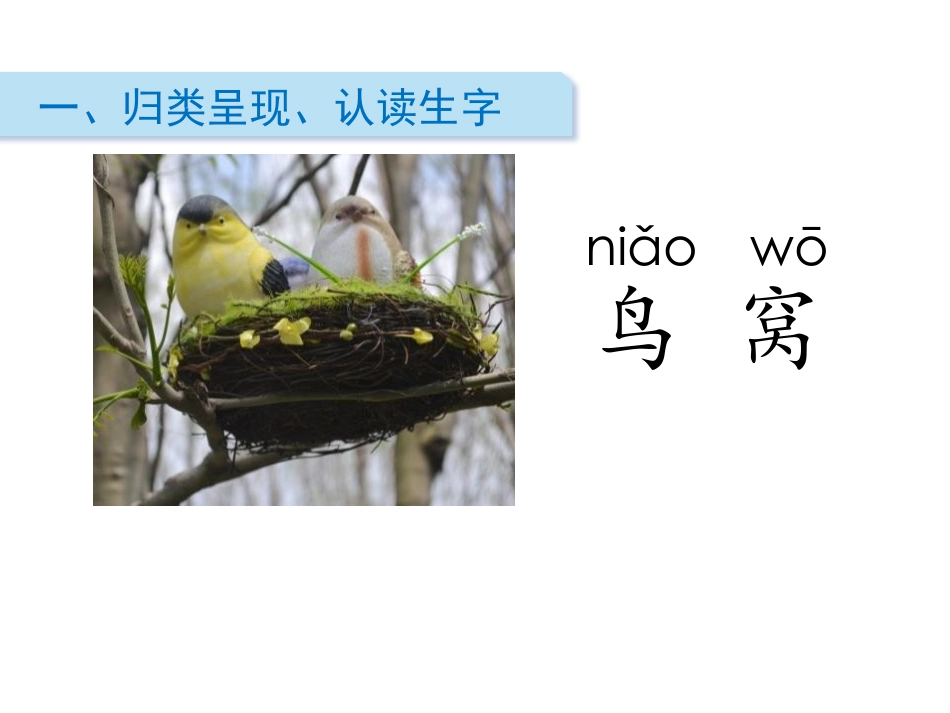 《树和喜鹊》PPT精品教学课件[部编版一年级语文下册]_第2页