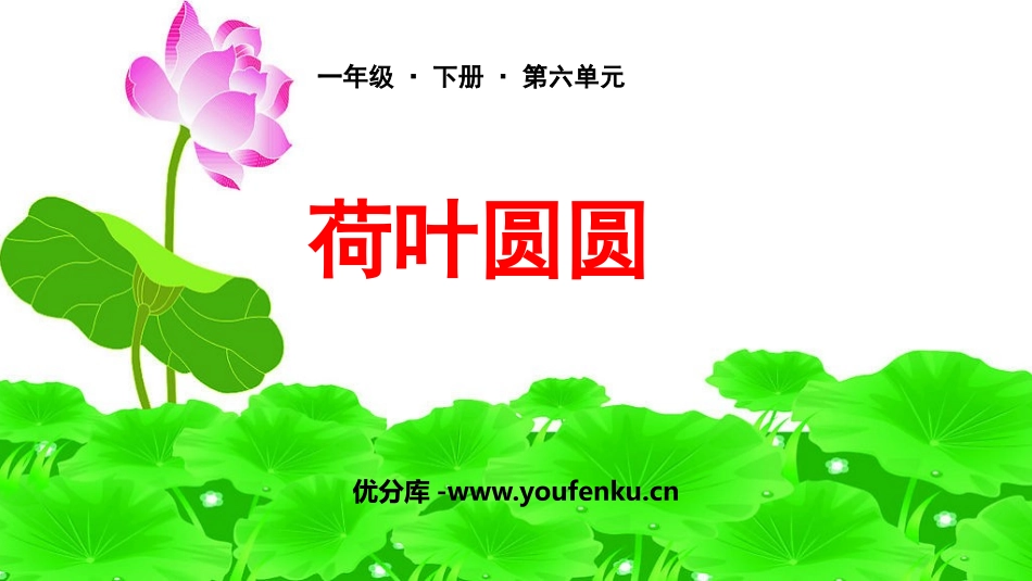 《荷叶圆圆》PPT优质课件[部编版一年级语文下册]_第1页