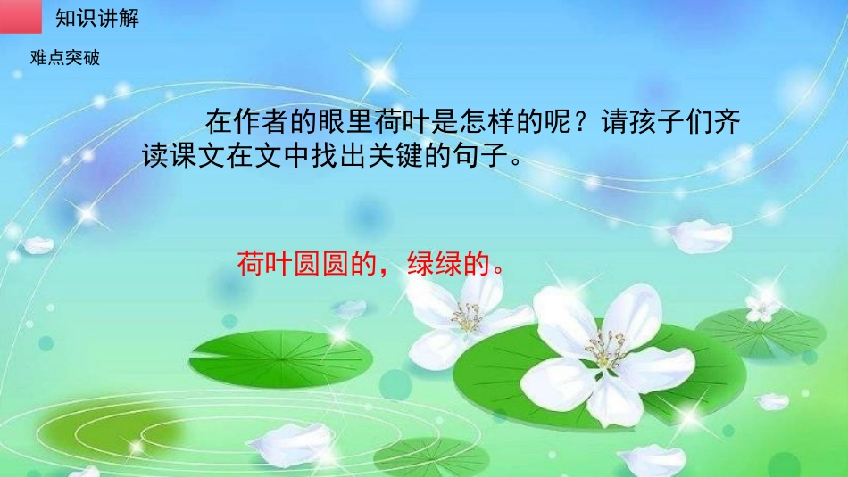 《荷叶圆圆》PPT优质课件[部编版一年级语文下册]_第3页