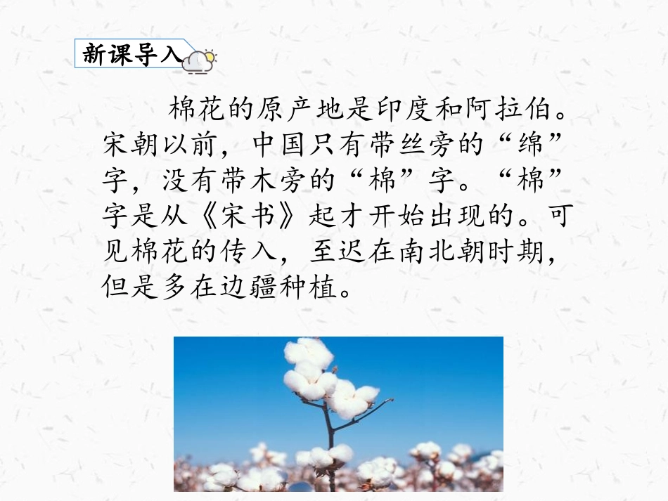 《棉花姑娘》PPT精品课件[部编版一年级语文下册]_第3页