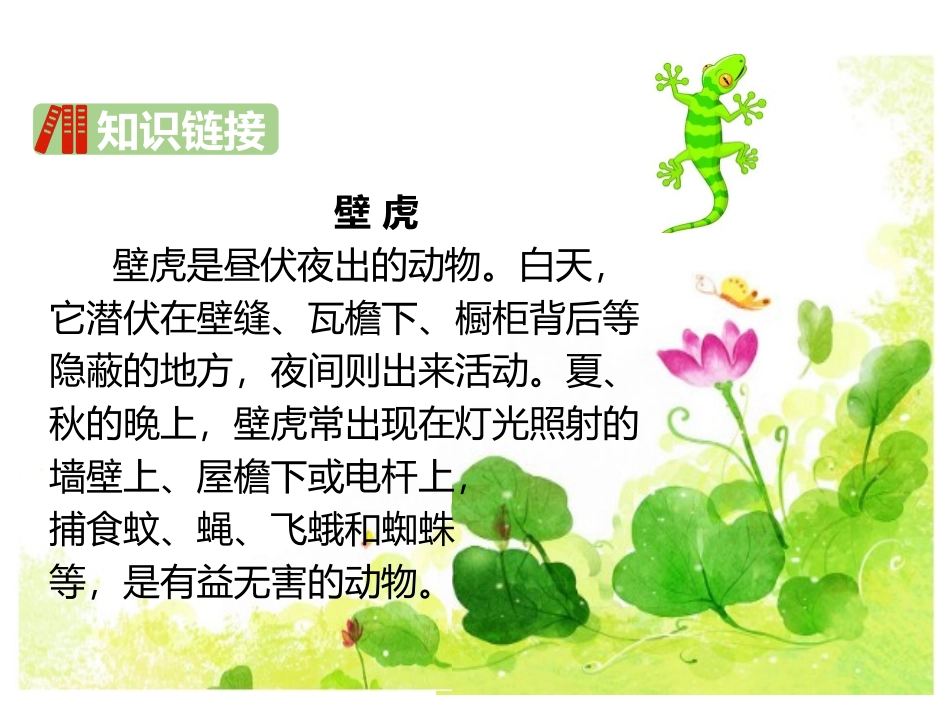 《小壁虎借尾巴》PPT优质课件[部编版一年级语文下册]_第3页