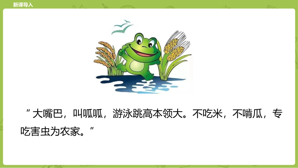 《青蛙卖泥塘》PPT课文课件[部编版二年级语文下册]_第3页