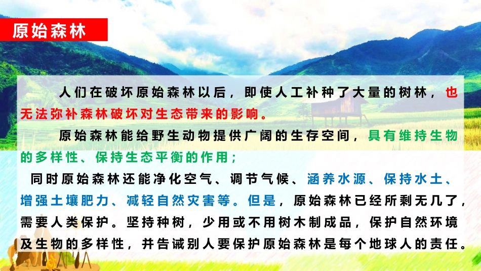 《祖先的摇篮》PPT免费优质课件[部编版二年级语文下册]_第3页