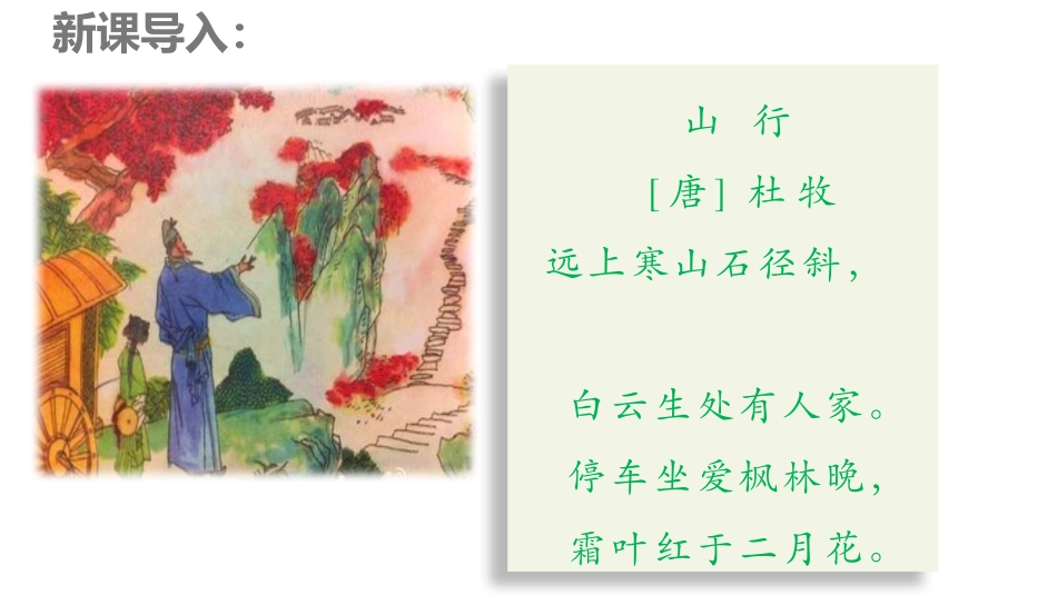 《山行》PPT教学课件[部编版三年级语文上册]_第3页