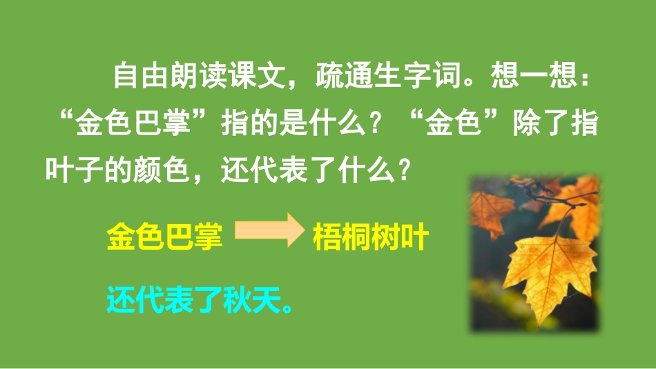 《铺满金色巴掌的水泥道》PPT优秀课件[部编版三年级语文]_第3页