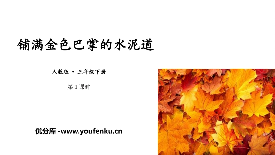 《铺满金色巴掌的水泥道》PPT免费课件(第1课时)_第1页
