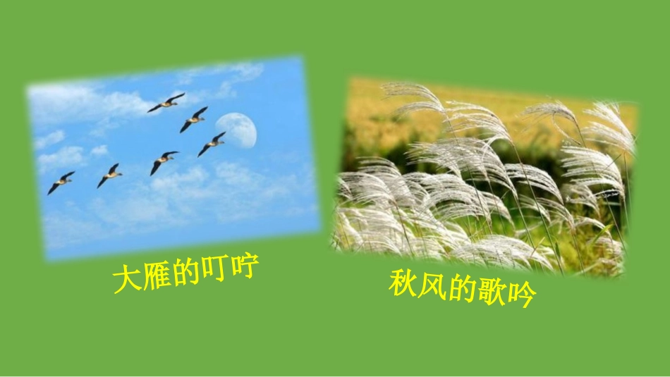 《听听,秋的声音》PPT课文课件[部编版三年级语文上册]_第3页