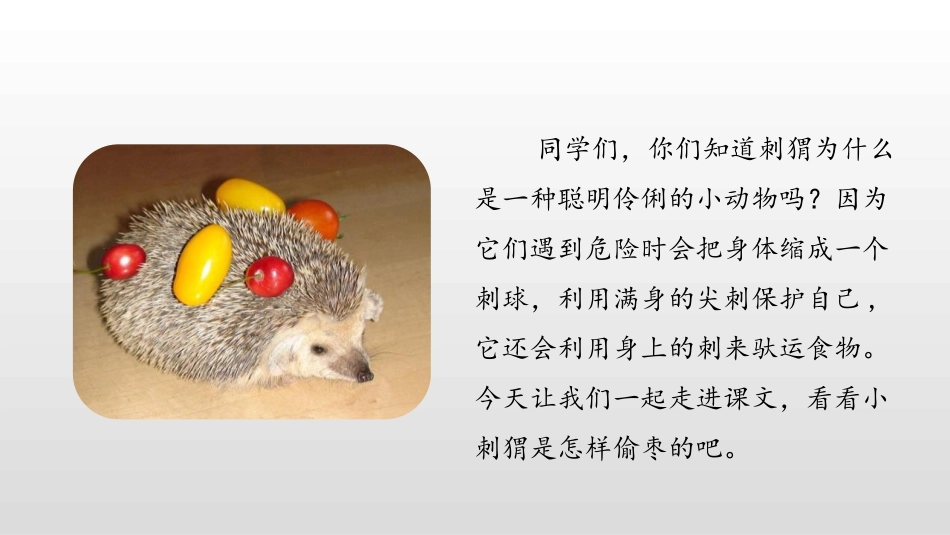 《带刺的朋友》PPT(第1课时)PPT课件[部编版三年级语文]_第3页