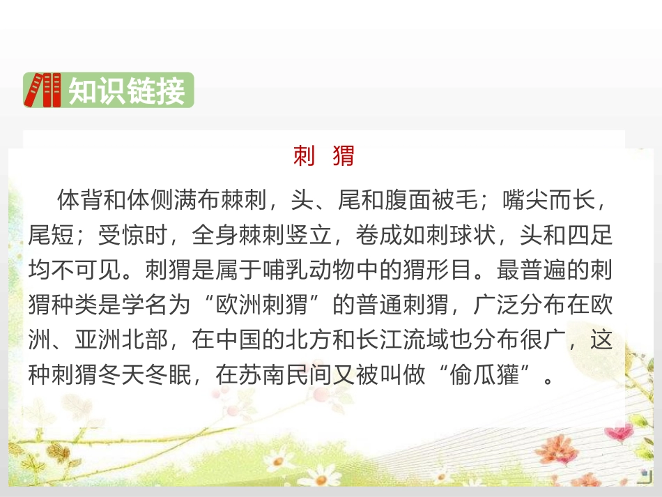 《带刺的朋友》PPT优质课件[部编版三年级语文上册]_第3页