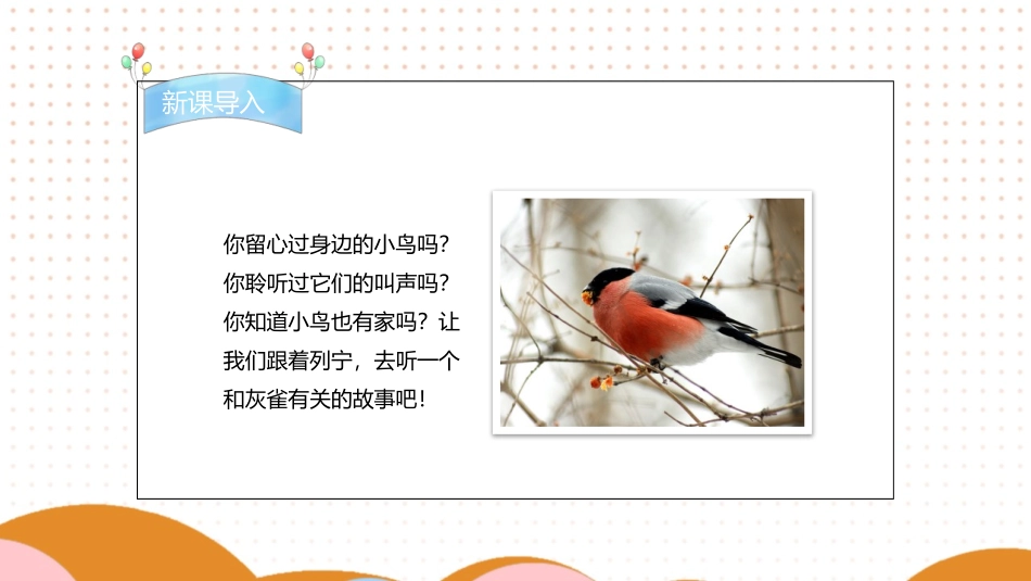 《灰雀》PPT精品课件[部编版三年级语文上册]_第3页