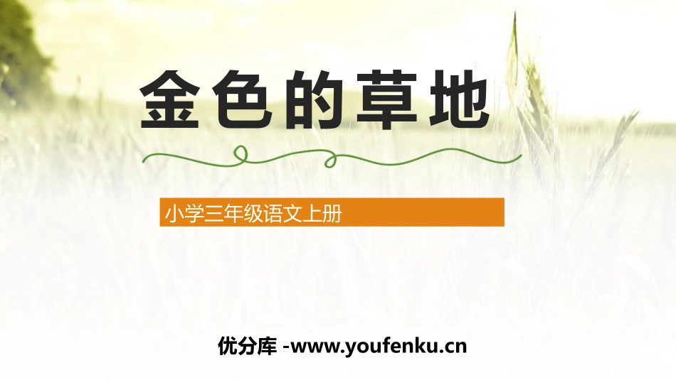 《金色的草地》PPT精品教学课件[部编版三年级语文上册]_第1页