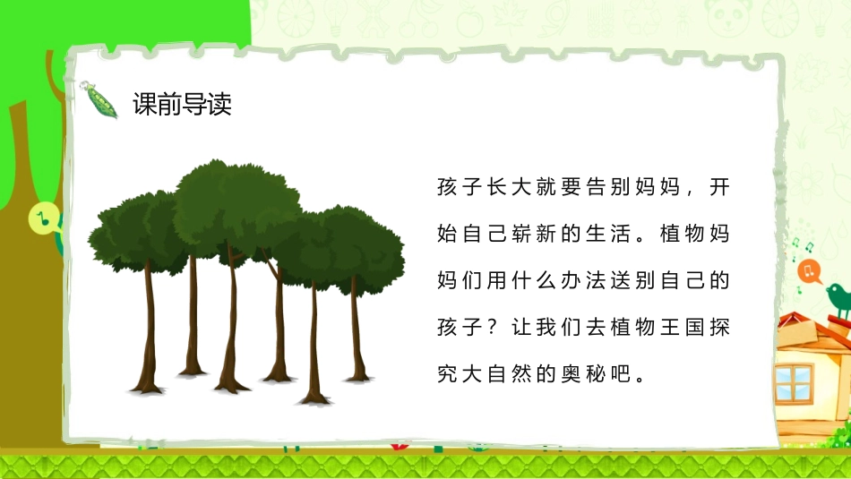 《植物妈妈有办法》PPT优秀教学课件[部编版二年级语文上册]_第3页