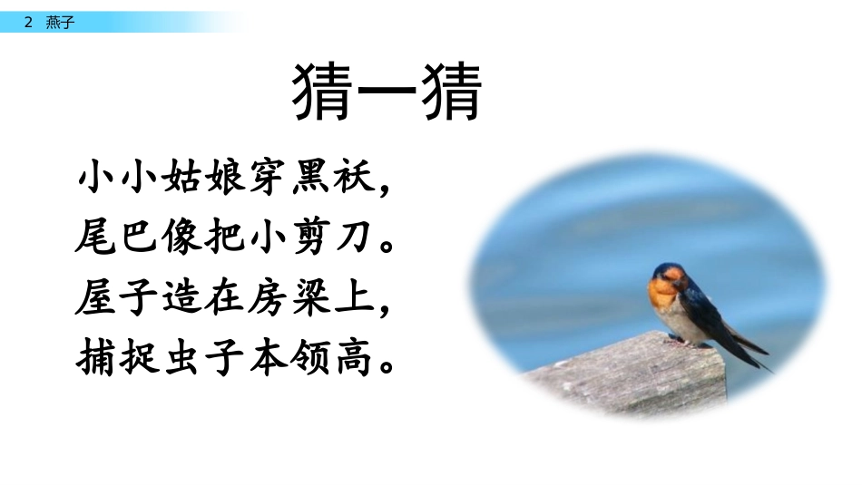《燕子》PPT课文课件[部编版三年级语文下册]_第1页