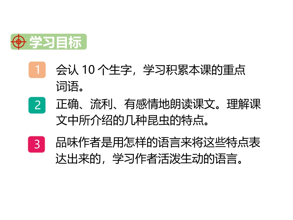《昆虫备忘录》PPT教学课件[部编版三年级语文下册]_第2页