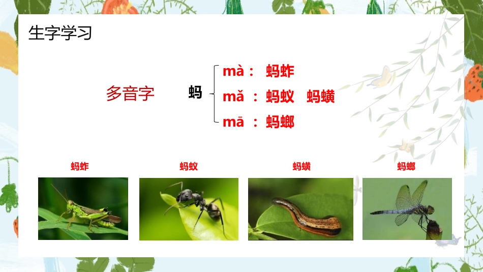 《昆虫备忘录》PPT优质课件[部编版三年级语文下册]_第3页