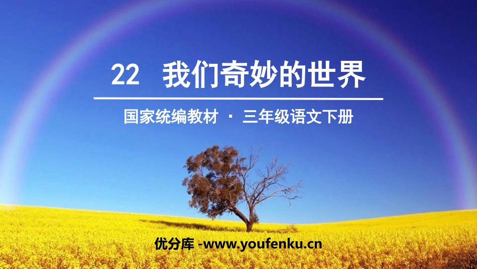 《我们奇妙的世界》PPT优质课件[部编版三年级语文下册]_第1页