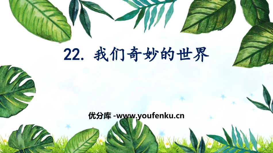 《我们奇妙的世界》PPT优秀课件[部编版三年级语文下册]_第1页