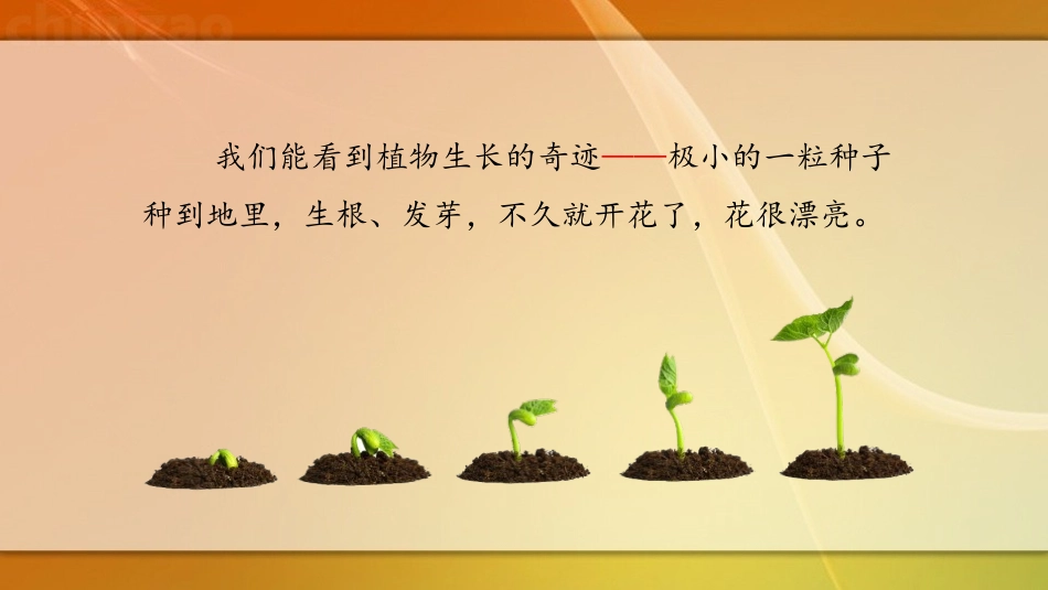 《我们奇妙的世界》PPT优秀课件[部编版三年级语文下册]_第3页