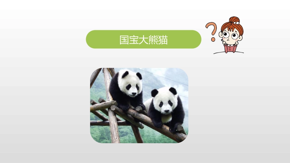 《围绕提纲写作文》PPT教学课件[部编版三年级语文下册]_第3页
