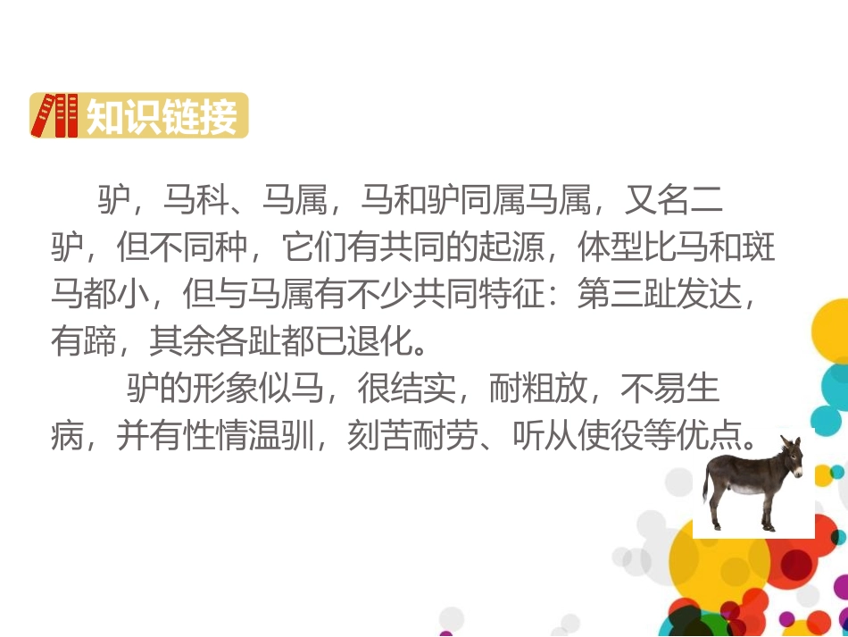 《漏》PPT精品课件[部编版三年级语文下册]_第3页