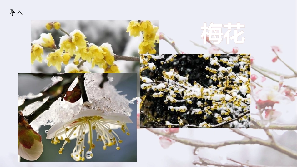 《雪梅》PPT教学课件[部编版四年级语文上册]_第3页