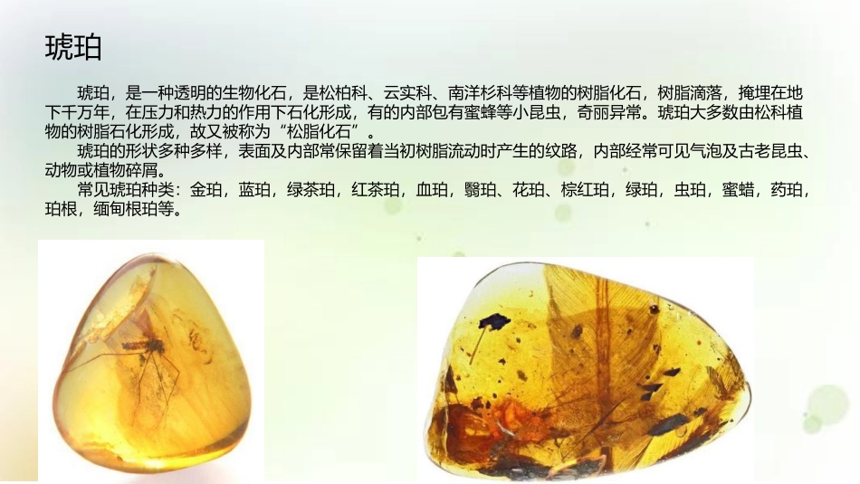 《琥珀》PPT精品课件[部编版四年级语文下册]_第2页