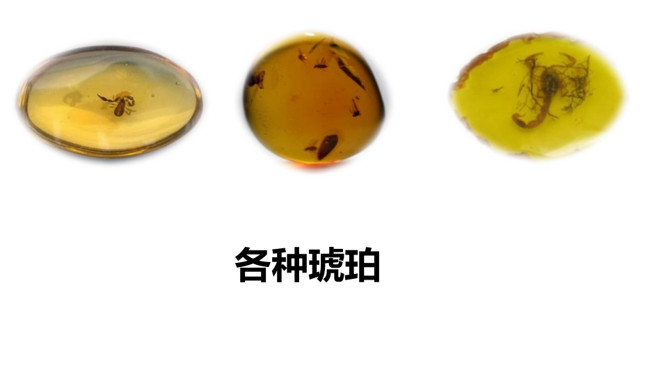 《琥珀》PPT教学课件(第1课时)[部编版四年级语文下册]_第3页