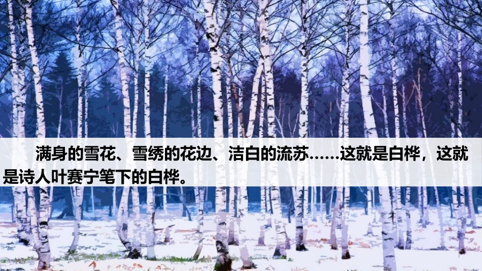 《白桦》PPT教学课件(第1课时)[部编版四年级语文下册]_第2页