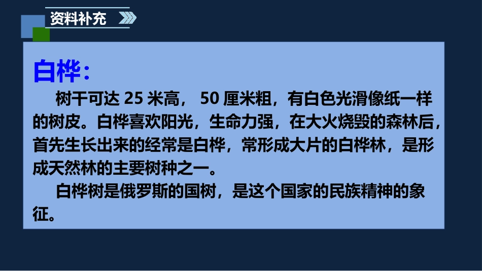 《白桦》PPT教学课件(第1课时)[部编版四年级语文下册]_第3页