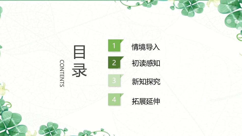 《白桦》PPT精品课件[部编版四年级语文下册]_第2页