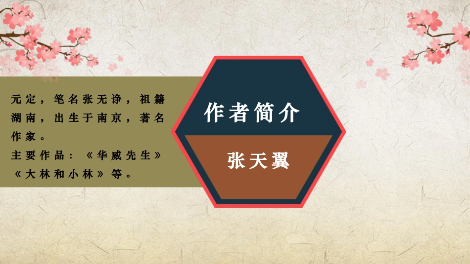 《宝葫芦的秘密》PPT教学课件[部编版四年级语文下册]_第2页