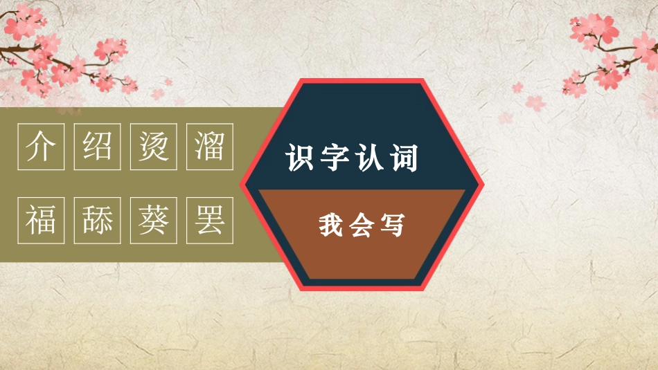 《宝葫芦的秘密》PPT教学课件[部编版四年级语文下册]_第3页