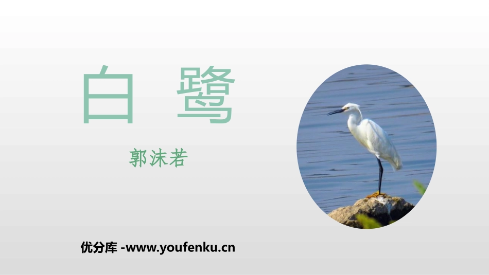 《白鹭》PPT精品课件[部编版五年级语文上册]_第1页